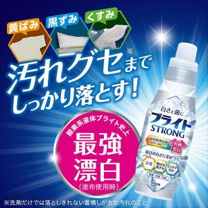 [X000033]日本獅王最強衣類用漂白剤 本体 510ml
