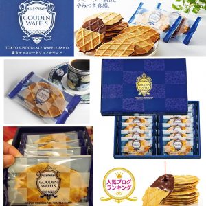 [J012293]Gouden Wafels 朱古力窩夫威化