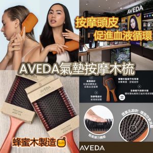 [E202153] AVEDA 氣墊按摩木梳